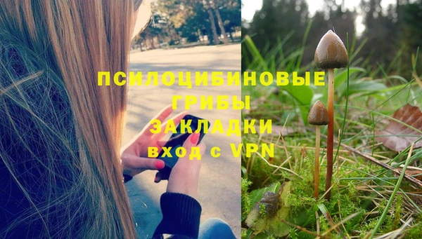 мет Баксан