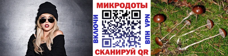 Галлюциногенные грибы Psilocybine cubensis  закладки  OMG маркетплейс  Кстово 